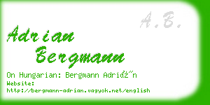 adrian bergmann business card